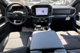 New 2025 Ford F150 XLT w/ Equipment Group 302A MID image 5