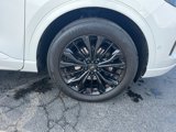Used 2023 Ford Escape ST-Line Elite w/ Premium Technology Package image 5