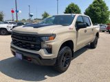 Used 2023 Chevrolet Silverado 1500 Custom Trail Boss image 5