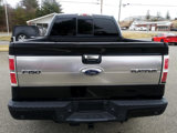 Used 2013 Ford F150 Platinum image 4
