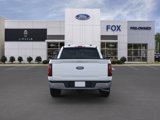 New 2025 Ford F150 XLT w/ Equipment Group 302A MID image 5