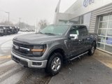 New 2025 Ford F150 XLT w/ Equipment Group 302A MID image 2