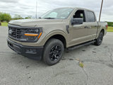 New 2025 Ford F150 STX image 2