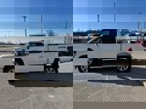 New 2025 Ford F150 XLT w/ Equipment Group 302A MID image 2