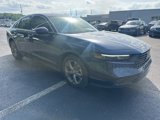 Used 2024 Honda Accord EX image 5