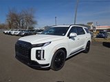 New 2025 Hyundai Palisade Calligraphy image 2