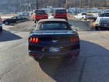 Used 2024 Ford Mustang Premium image 6