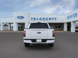 New 2025 Ford F150 Platinum w/ Equipment Group 702A High image 5