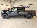 New 2025 Ford F150 Lariat w/ Equipment Group 502A High image 2