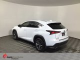 Used 2020 Lexus NX 300 F Sport image 4