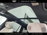 New 2026 Cadillac Vistiq Sport image 5