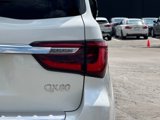 Certified 2024 INFINITI QX80 Sensory w/ Cargo Package image 5