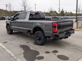 New 2025 Ford F250 Platinum image 6