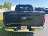 New 2025 Ford F150 XLT w/ Equipment Group 302A MID image 4