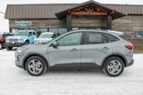 New 2025 Ford Escape ST-Line Elite image 3