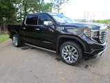New 2025 GMC Sierra 1500 Denali w/ Denali Reserve Package image 5