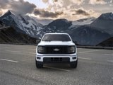 New 2025 Ford F150 STX w/ STX Black Appearance Package image 6