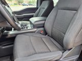 Used 2023 Ford F150 XLT w/ Equipment Group 302A High image 3