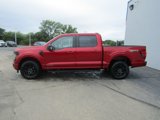 New 2025 Ford F150 XLT image 2