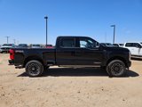 New 2025 Ford F250 Platinum image 4