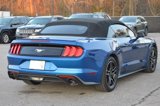 Used 2018 Ford Mustang Premium w/ Equipment Group 201A image 6