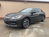 Used 2017 Honda Accord EX image 2