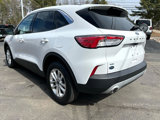 Used 2022 Ford Escape SE image 5