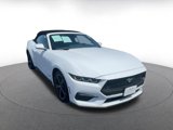 Used 2024 Ford Mustang Premium image 3