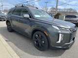 New 2025 Hyundai Palisade XRT image 4