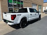 Used 2024 Ford F150 STX w/ STX Black Appearance Package image 5