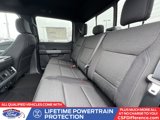 New 2025 Ford F150 XLT w/ Equipment Group 302A MID image 5