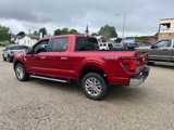Used 2024 Ford F150 XLT w/ Equipment Group 302A MID image 4