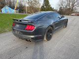 Used 2019 Ford Mustang GT Premium w/ GT Performance Package image 3