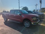 New 2024 Ford F150 XLT w/ Equipment Group 302A MID image 3