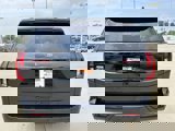 New 2025 Ford Expedition Platinum w/ Stealth Appearance Package image 5