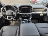 New 2025 Ford F150 Lariat w/ Equipment Group 501A Mid image 5