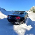 Used 2020 Ford Mustang Premium image 6
