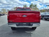 New 2025 Ford F150 XLT image 4