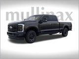 New 2025 Ford F250 Platinum image 2