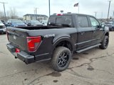New 2025 Ford F150 XLT w/ Equipment Group 302A MID image 3
