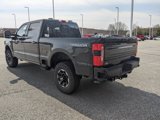 New 2025 Ford F250 Platinum image 6