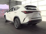 Used 2025 Lexus NX 350h AWD w/ Premium Package image 3