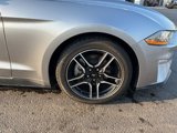 Certified 2022 Ford Mustang Premium image 4
