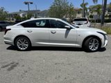 New 2025 Cadillac CT5 Premium Luxury w/ Sun And Sound Package image 3