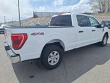 Certified 2023 Ford F150 XLT w/ Equipment Group 301A Mid image 5