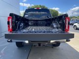 New 2025 Ford F250 4x4 Crew Cab Super Duty image 6