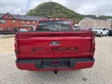 New 2025 Ford F150 XLT image 4