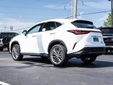 New 2026 Lexus NX 350 AWD w/ Luxury Package image 5