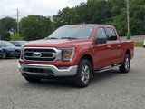 Certified 2023 Ford F150 XLT w/ Equipment Group 302A High image 2