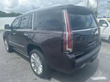 Used 2016 Cadillac Escalade Platinum image 5